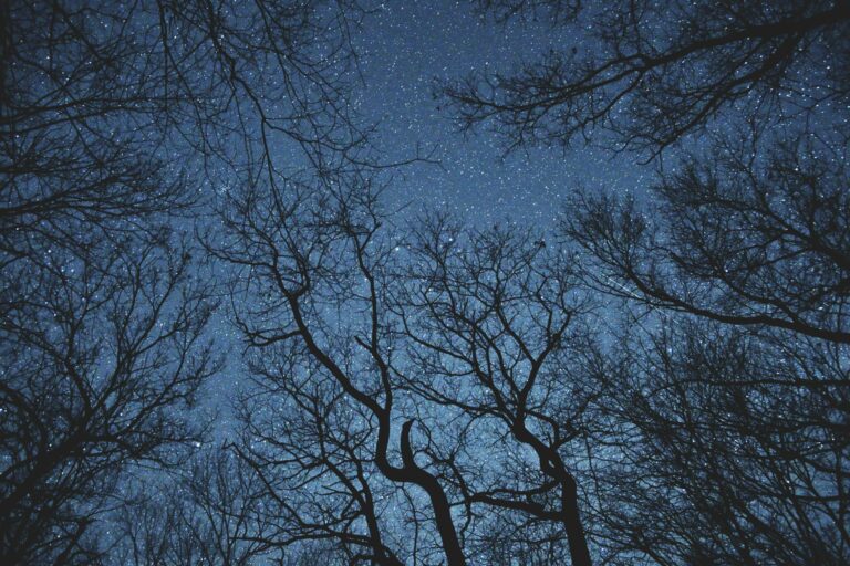 willis stout gvr1alj0xpq unsplash