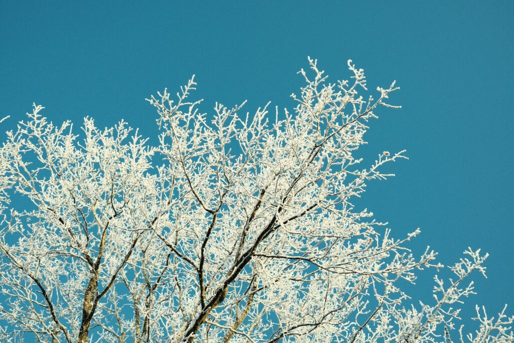 zafer q38xzcz0h8a unsplash