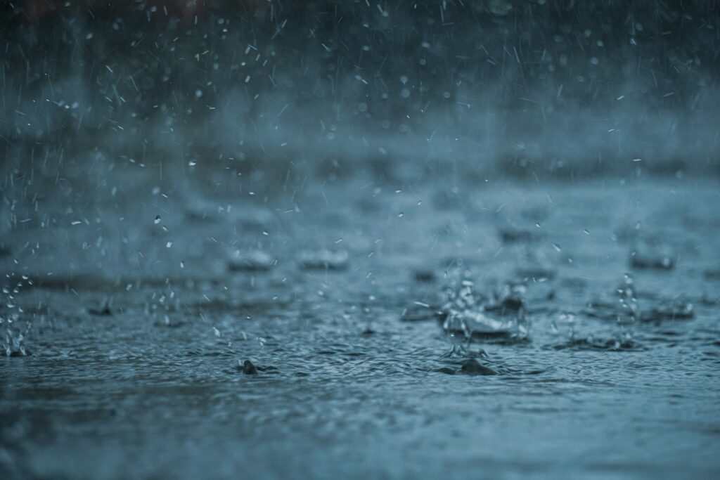 abhishek tewari txfevs4mqqe unsplash