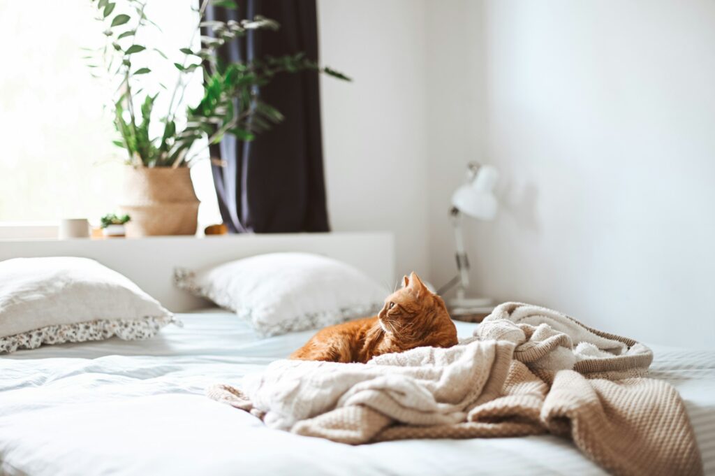 gaelle marcel awyrehkwek4 unsplash