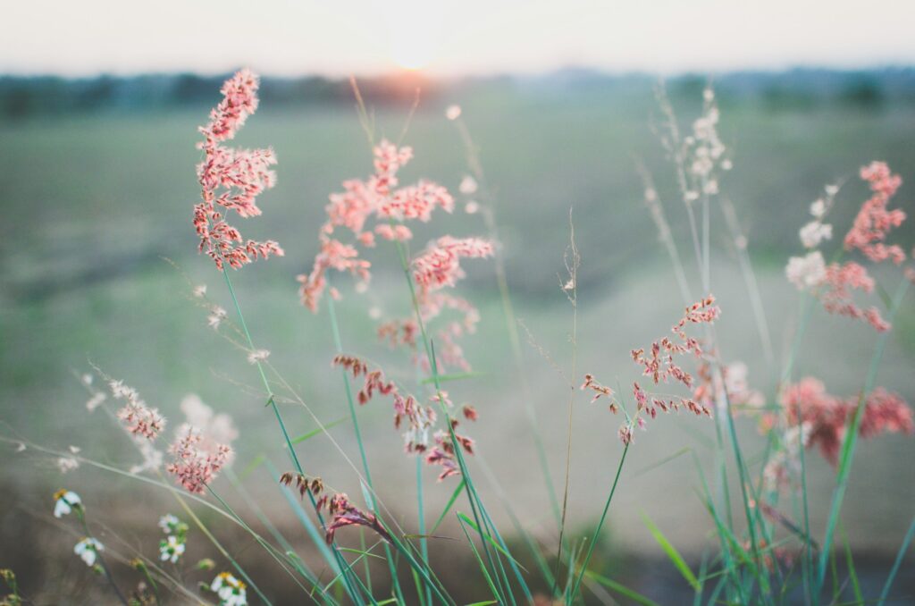 kien do njt4o7wymwk unsplash