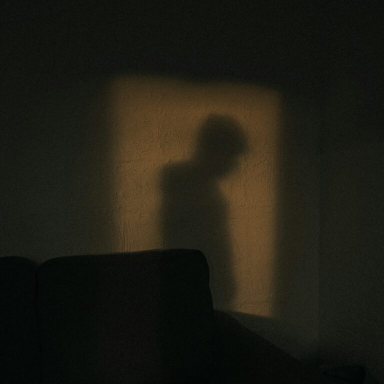 majestic lukas spvsecn7p58 unsplash