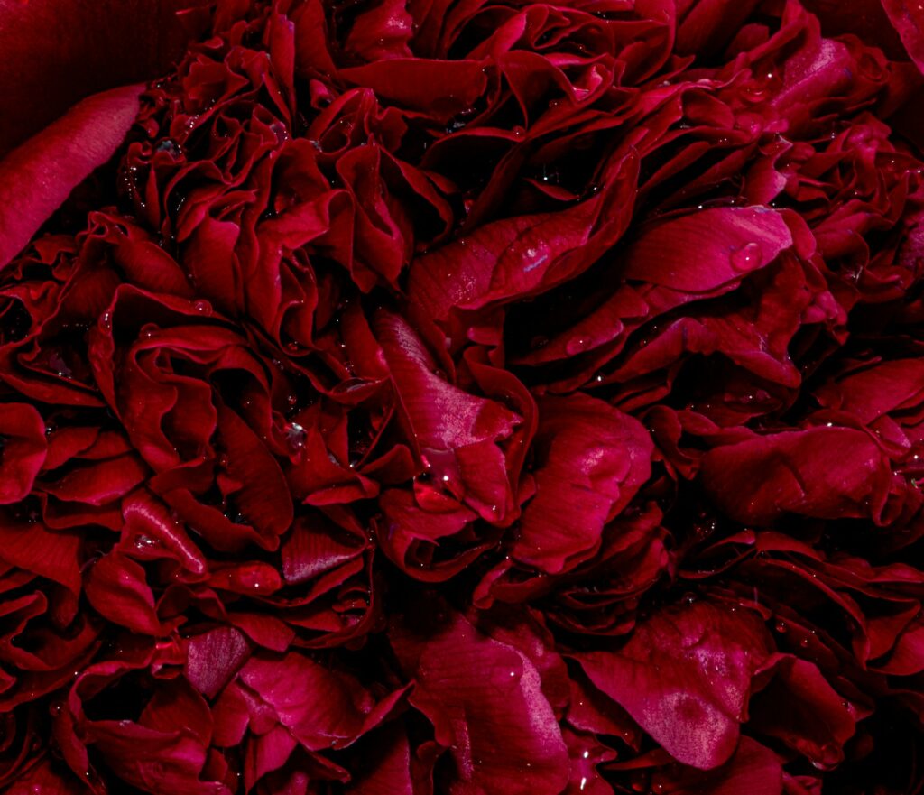 mana5280 upwxghl8swq unsplash