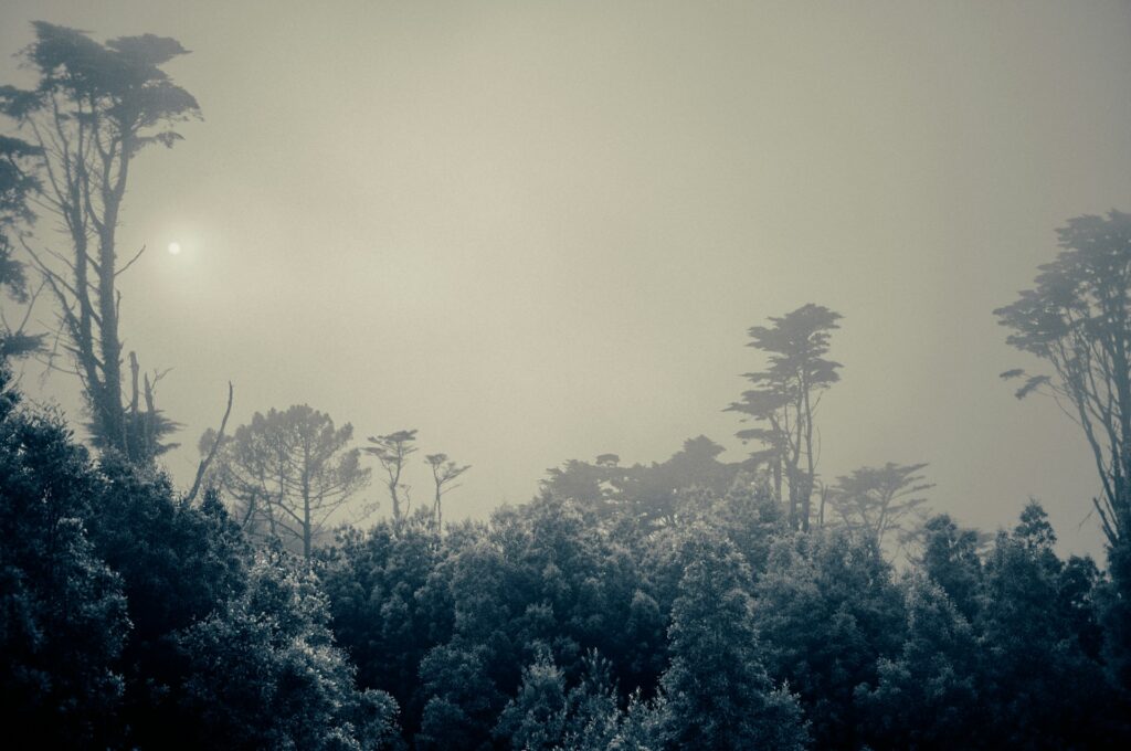 manuel inglez eaounrng20c unsplash