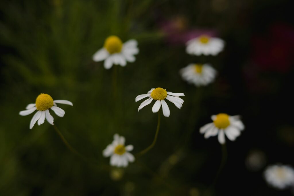 meg macdonald h dg8npwtuw unsplash