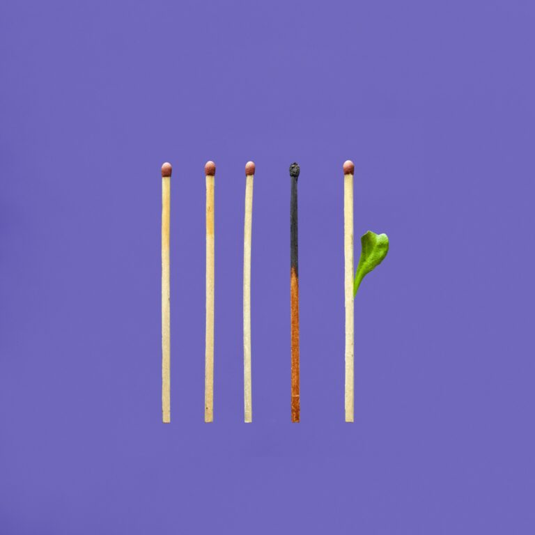 tangerine newt o04xdvwe33u unsplash