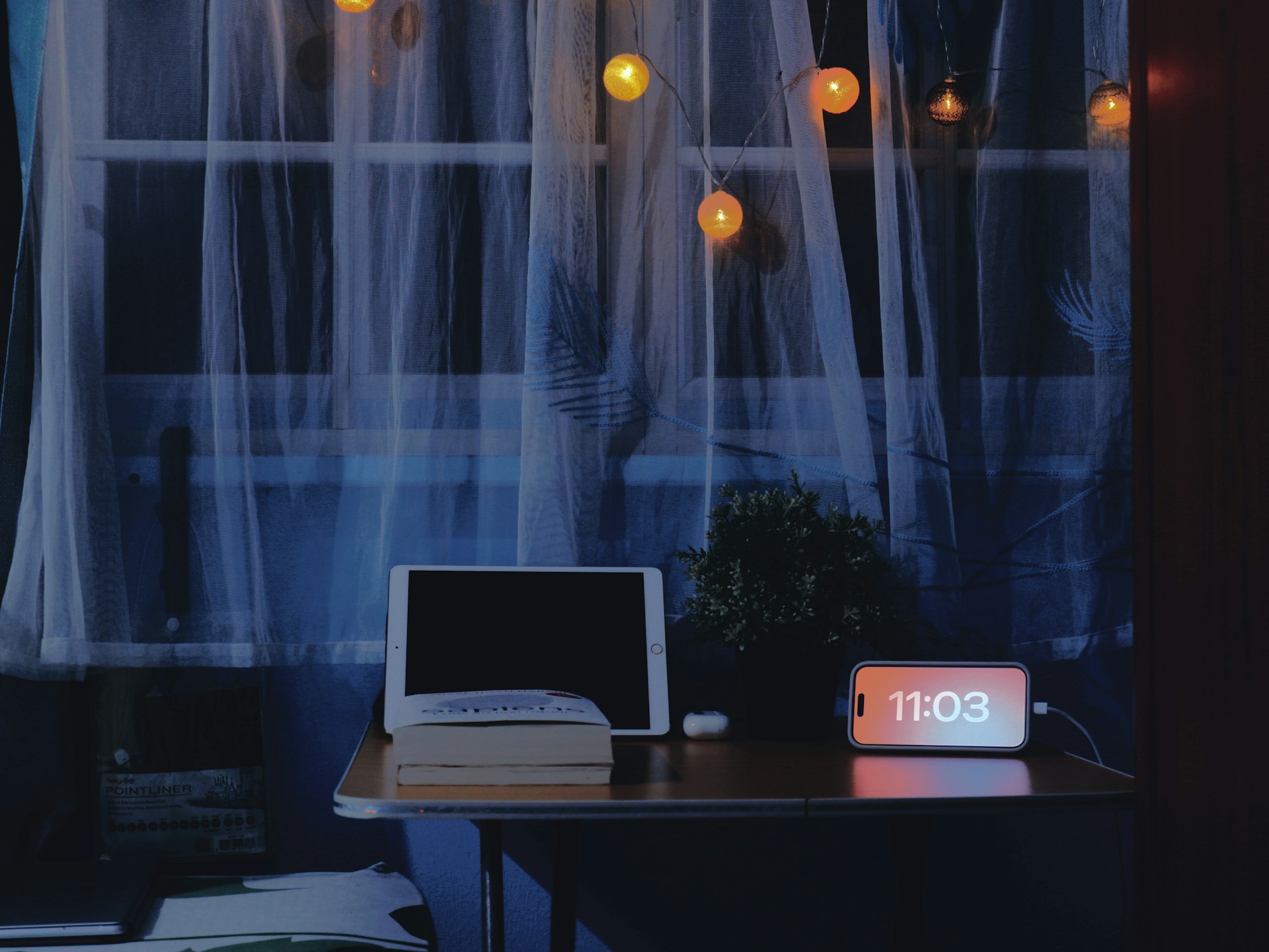 truong tuyet ly c9c wfnosc8 unsplash