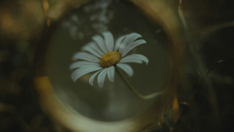vasilina sirotina ck1qlfukbsu unsplash