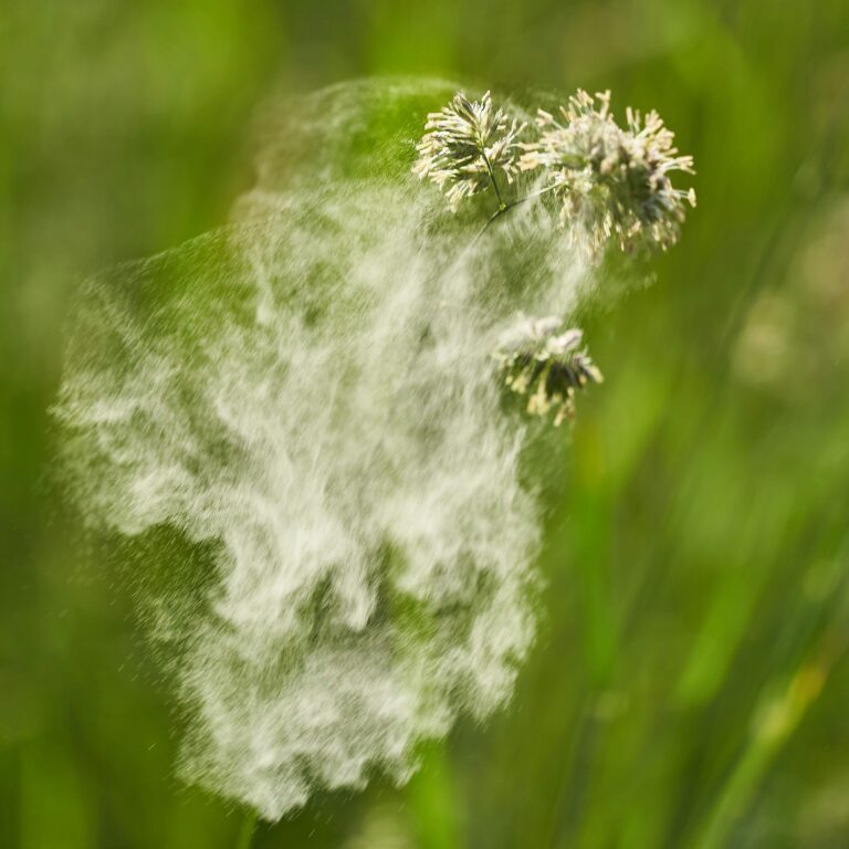 wolfgang hasselmann eac3nh2yhvo unsplash