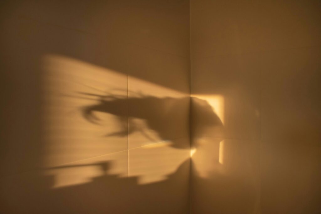 yara kinds ilqf73smwj8 unsplash