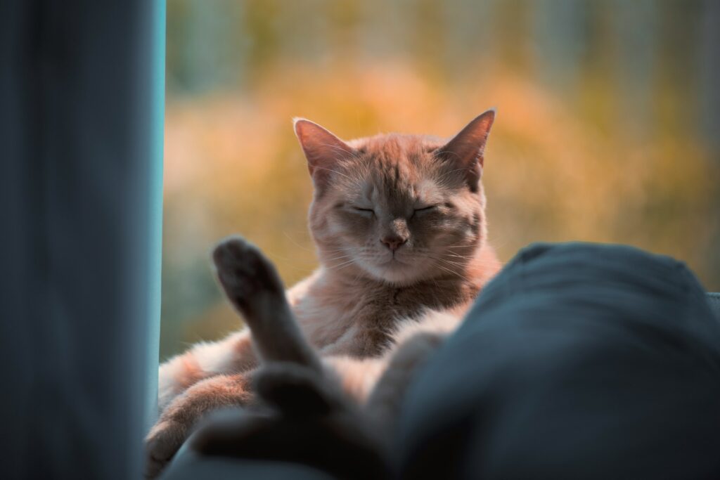abed ismail m5tdtr bzcu unsplash