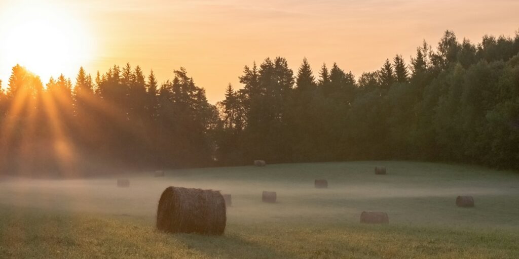 ainars cekuls 2h9uhgndev0 unsplash