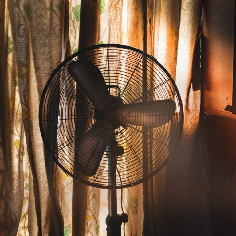 akshar dave tk arhwj4xk unsplash