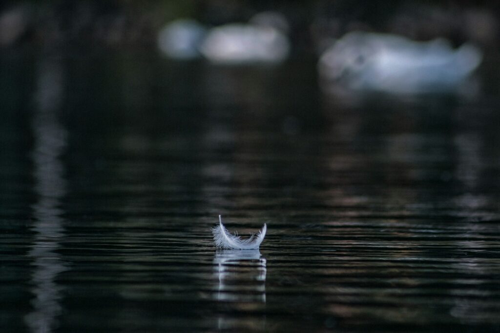 andraz lazic 64sgr8hv 68 unsplash