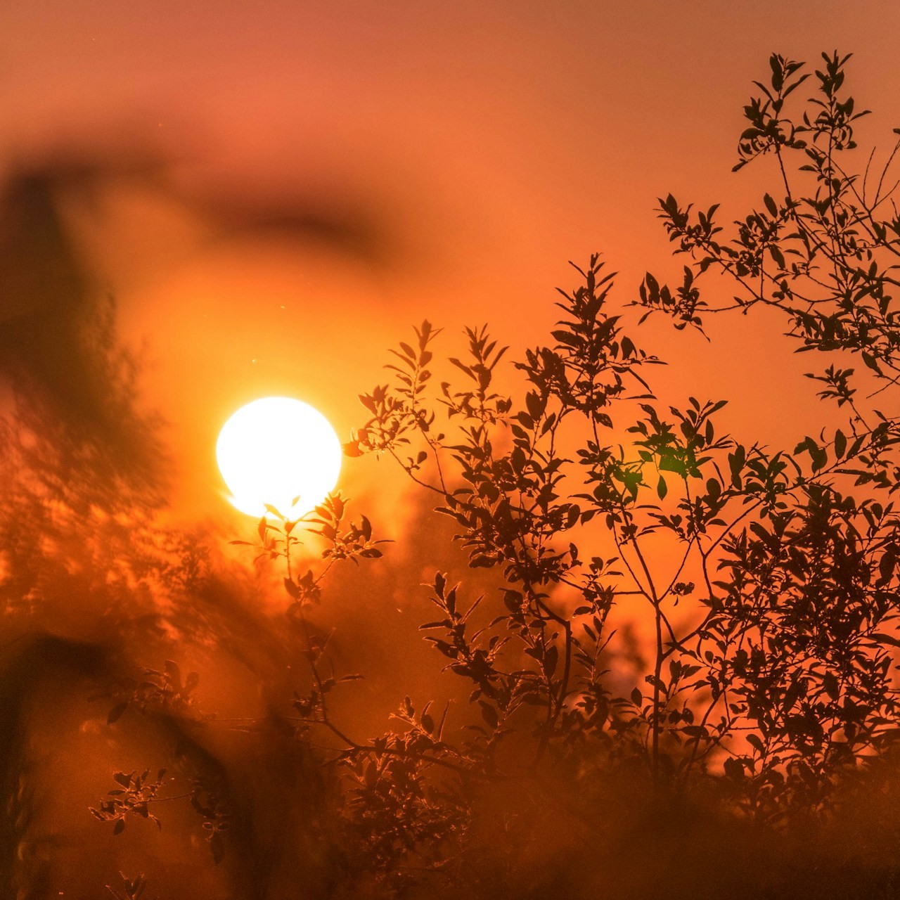 ant rozetsky plxty3 e y8 unsplash
