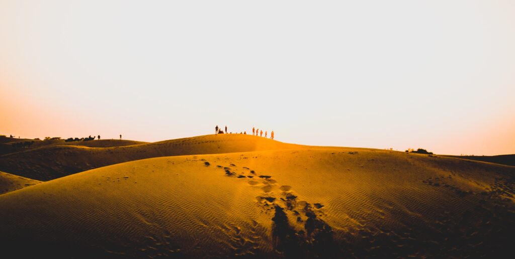 arshla jindal 5qmujm4kjpa unsplash