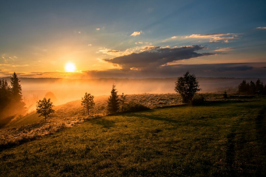 dawid zawila g3rw6y02d0 unsplash