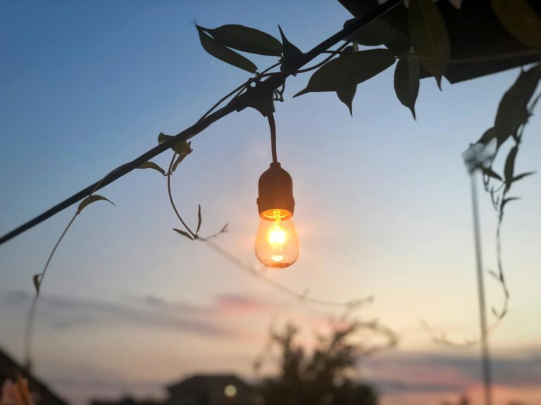 drew thomas mqhzkj1y9n8 unsplash