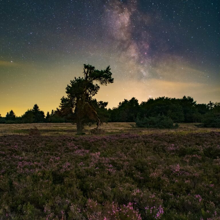 evgeni tcherkasski mikabqwe8ee unsplash
