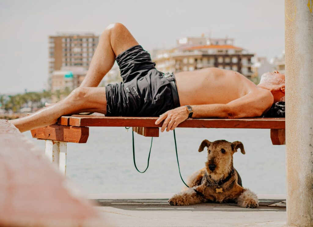 frames for your heart ks4aow6xiw4 unsplash