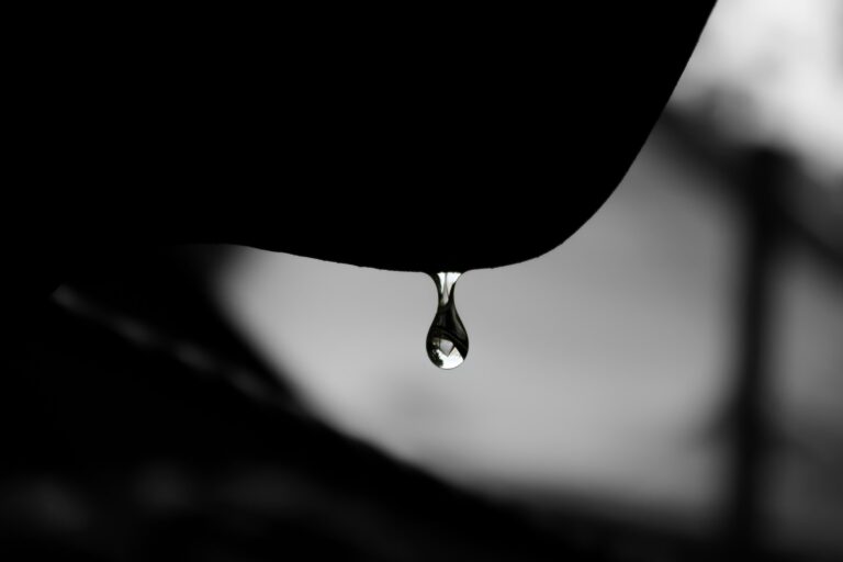 mayank dhanawade huf1vghhowi unsplash