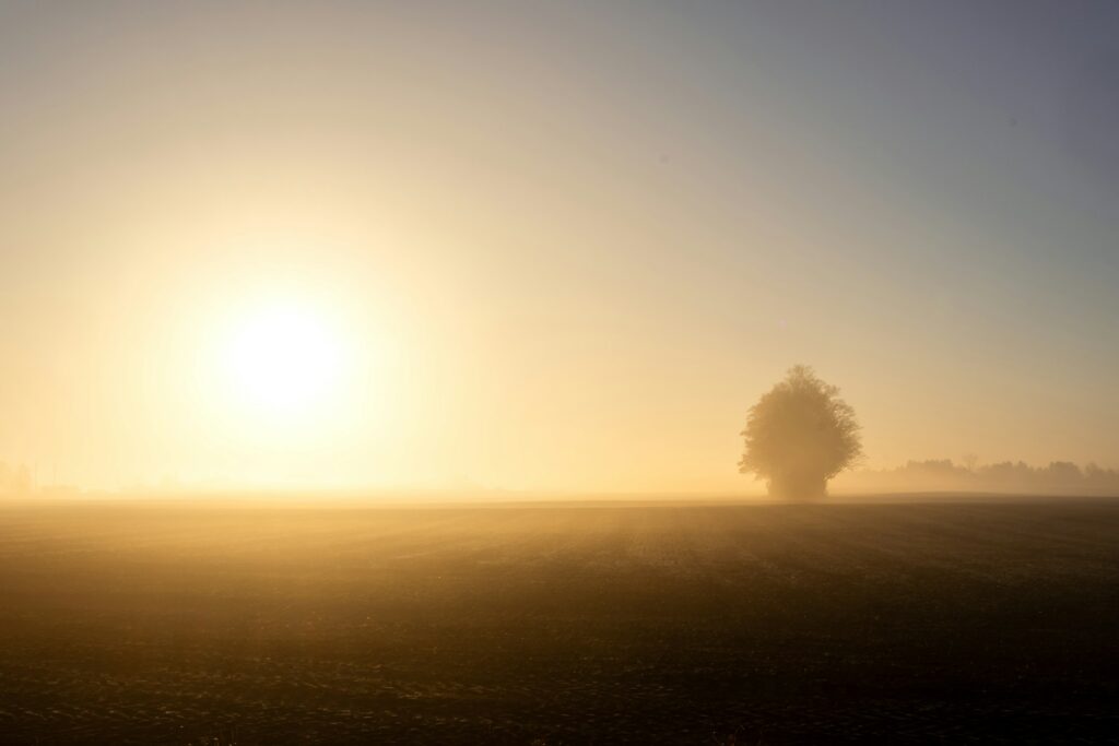 megan lee ryoggmtdoxs unsplash