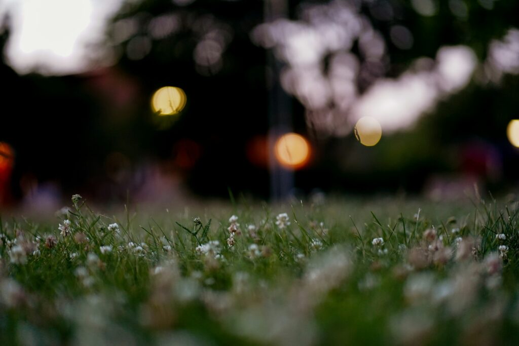 nazrin babashova cjam4izfpim unsplash