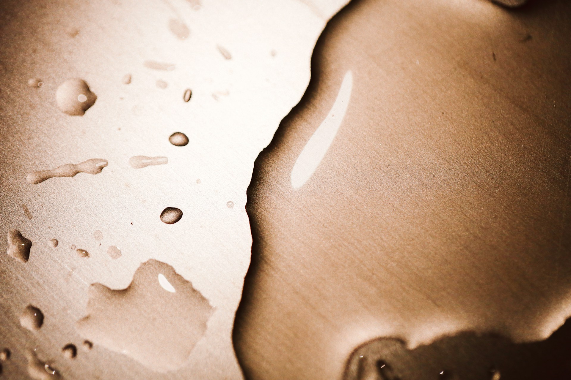 nine koepfer zkmget3jrto unsplash