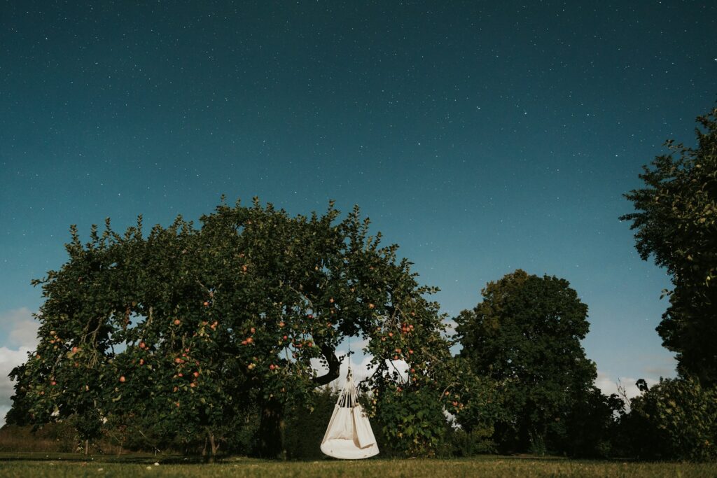 oskar kadaksoo gxa 92deuto unsplash