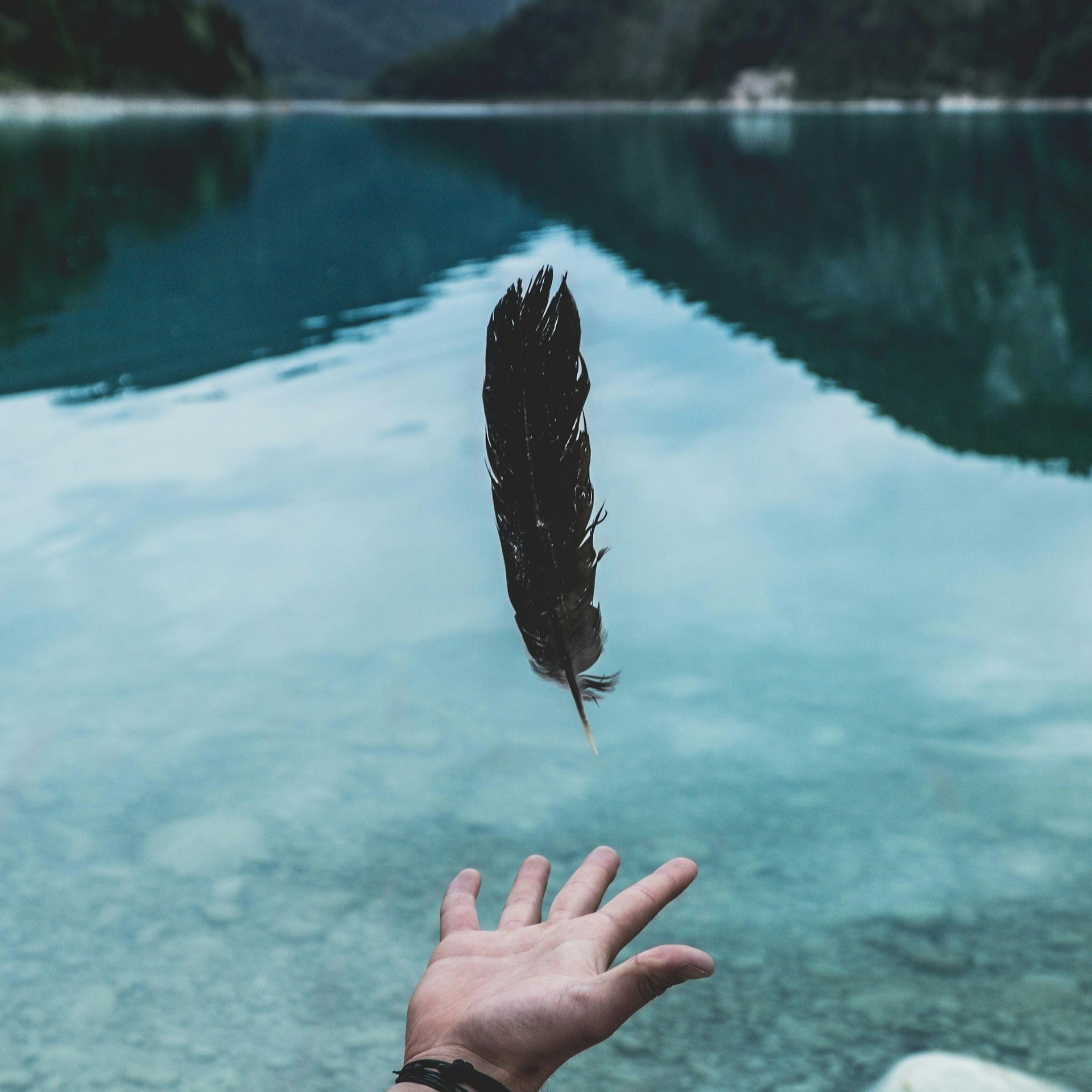 paul pastourmatzis vs zkj1sehc unsplash
