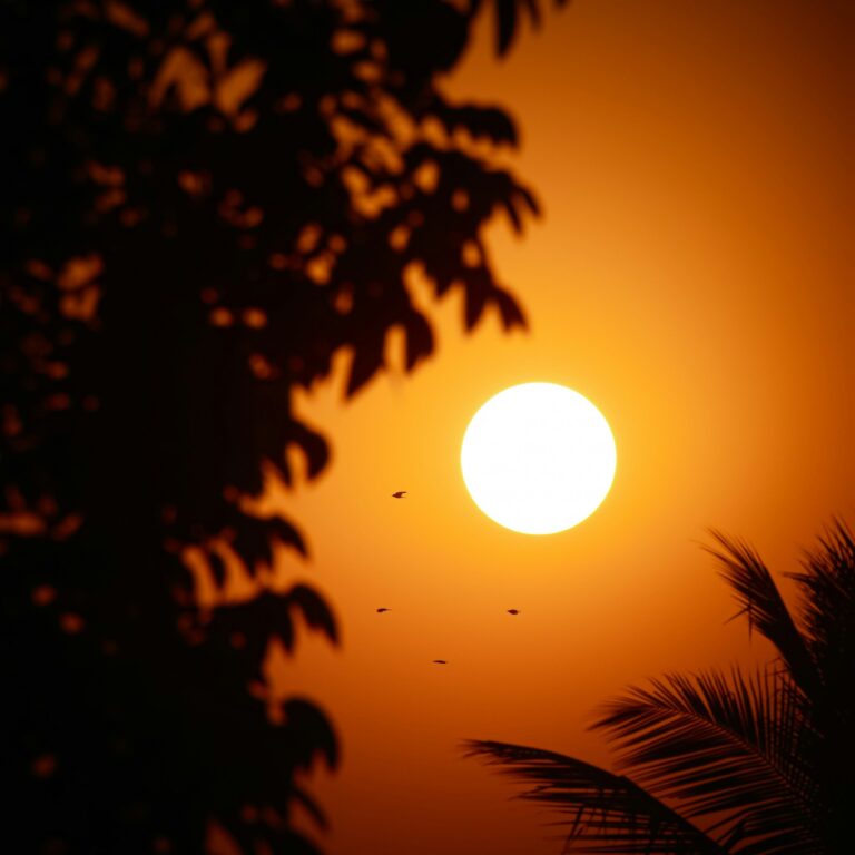 rohit sharma vyspjgzldwk unsplash