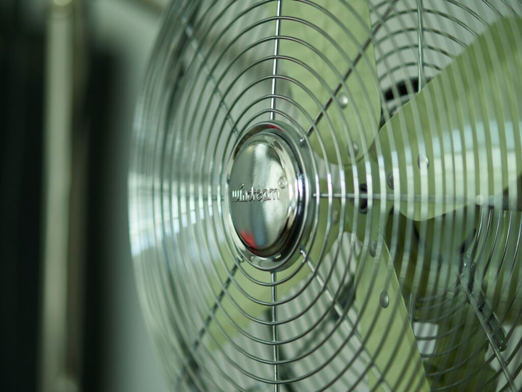 roy muz n2qtwj cdnc unsplash