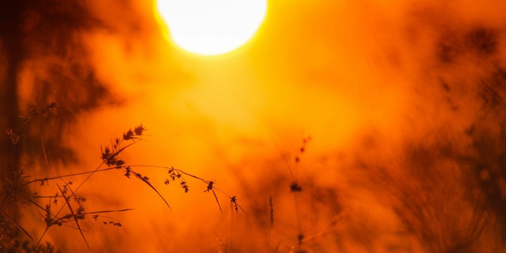 sagar kulkarni rn qmyb qsg unsplash