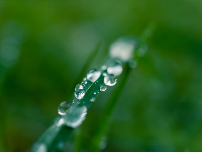 sonny sixteen 5ovjba4dkw0 unsplash