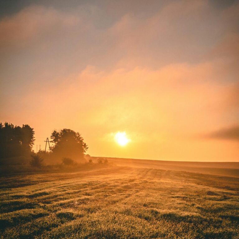 tetiana padurets fbbcrqutmp4 unsplash