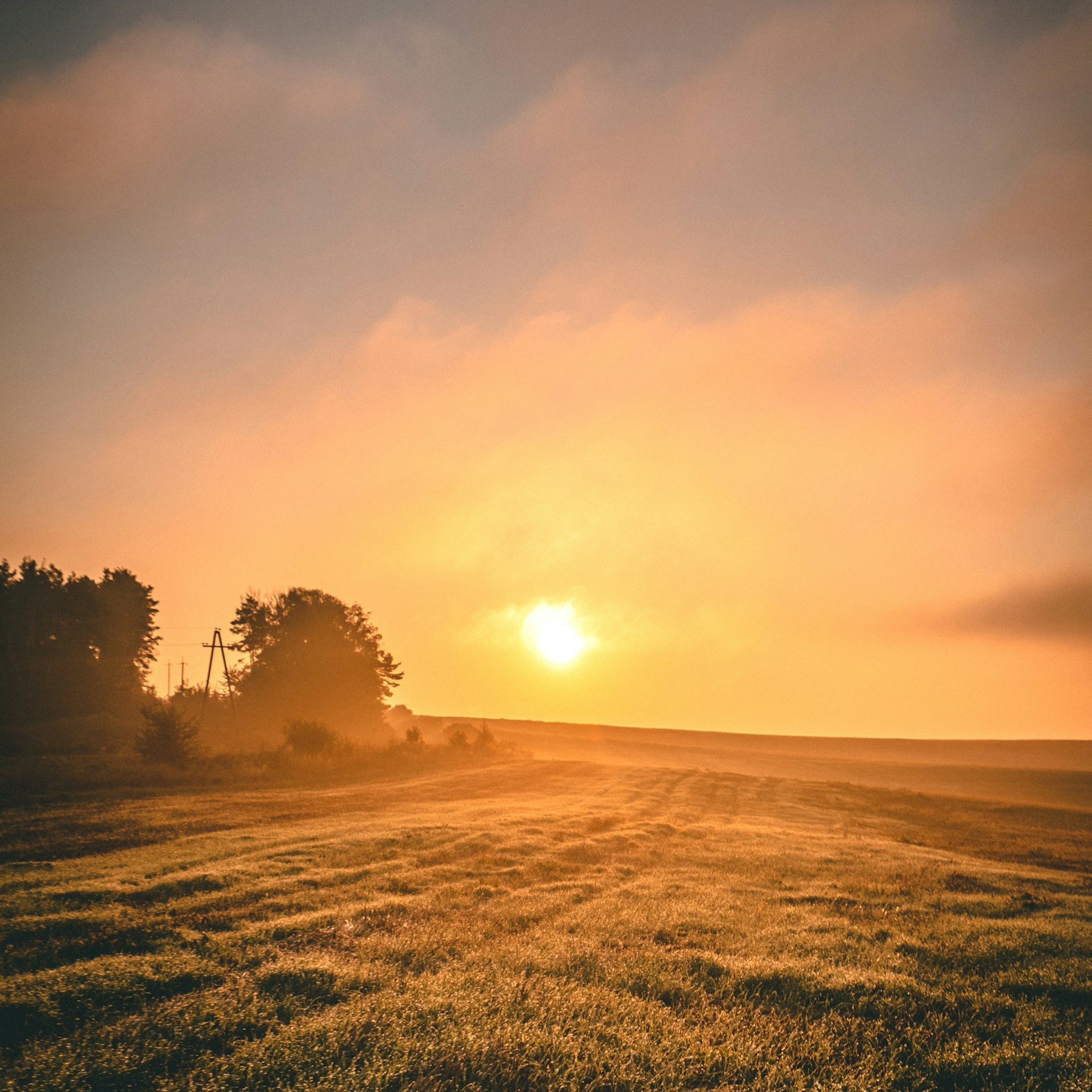 tetiana padurets fbbcrqutmp4 unsplash