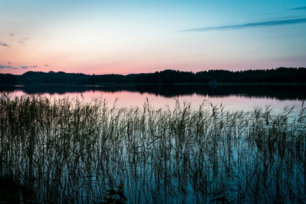 tiitus saaristo e58dmzr5qg4 unsplash
