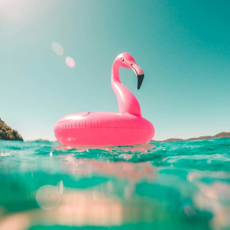 vicko mozara m82uh vamhg unsplash