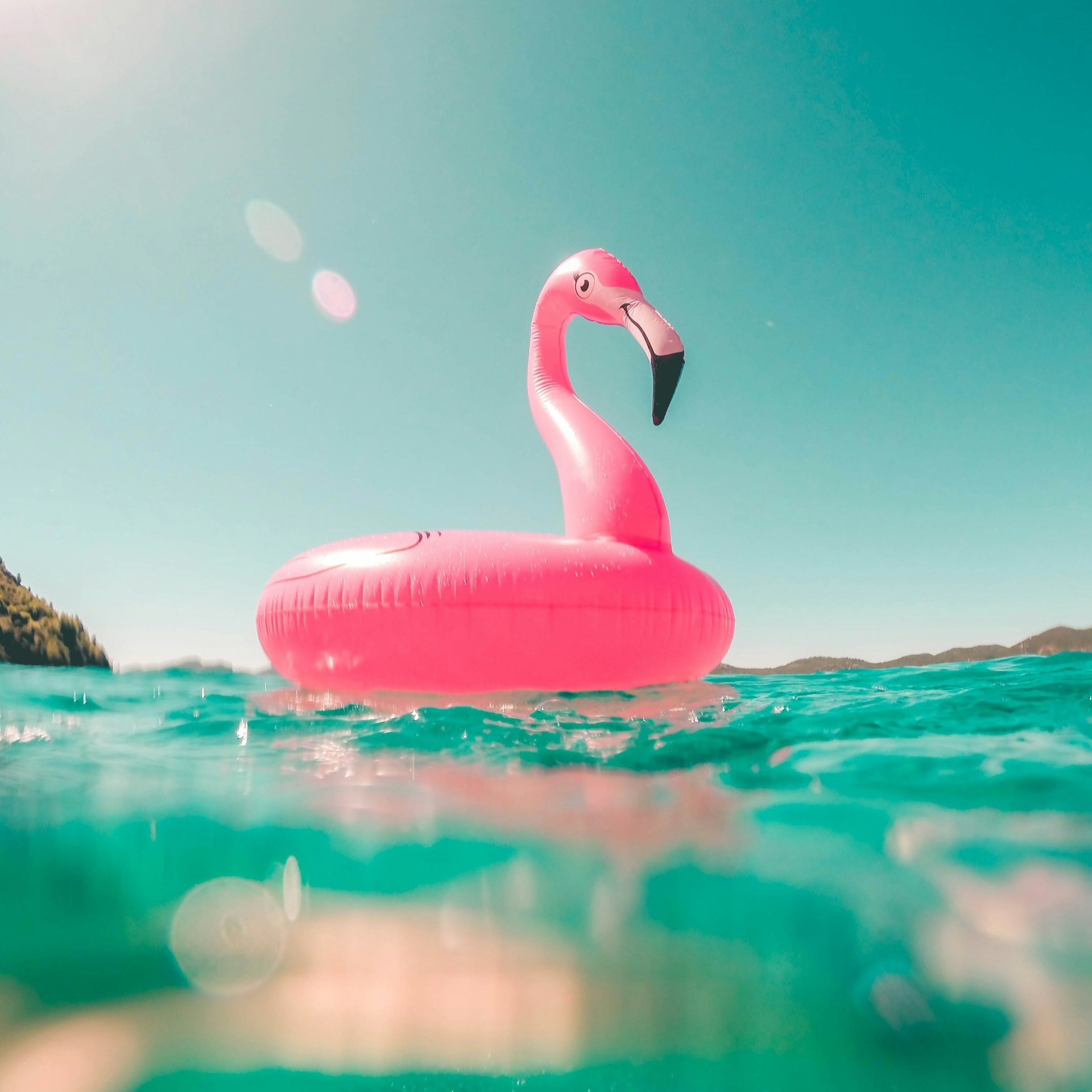 vicko mozara m82uh vamhg unsplash