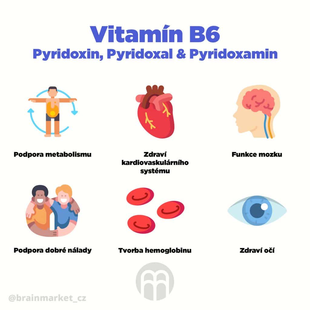 Vitamin B6 pyridoxin infografika brainmarket CZ 1024x1024 1