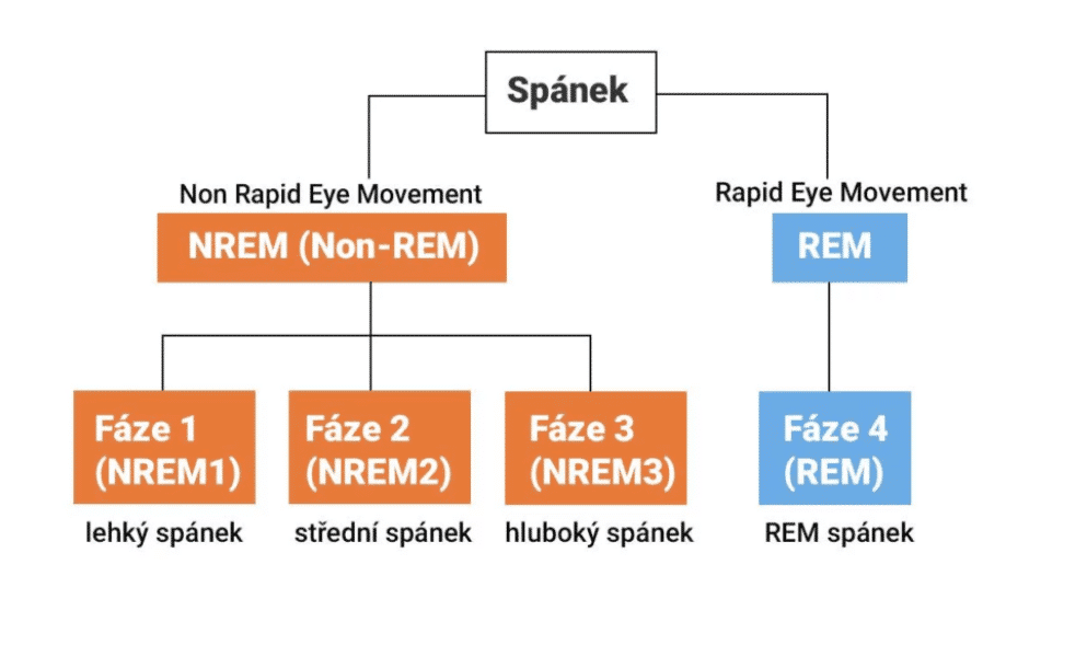 faze spanku