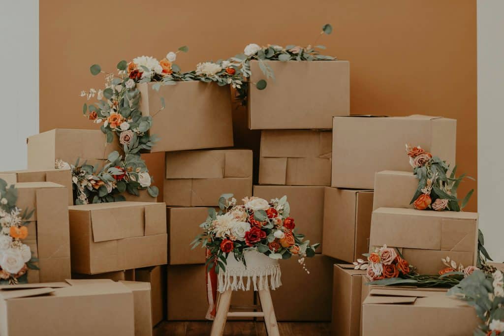 kadarius seegars S6OvsSwm5sE unsplash
